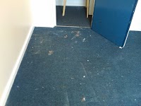 Carpet Cleaning North West London 352498 Image 2